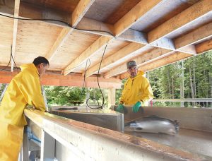 Competitiveness comes at scale for RAS operations