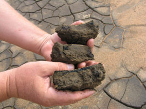 How decomposition of organic matter impacts aquaculture ponds