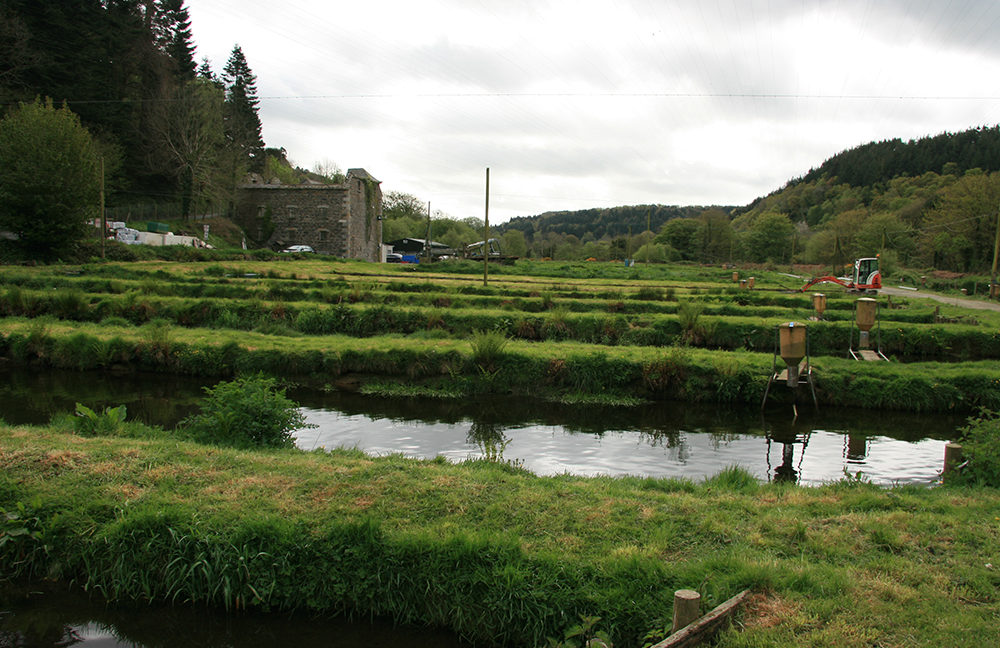 Ireland_1_SH