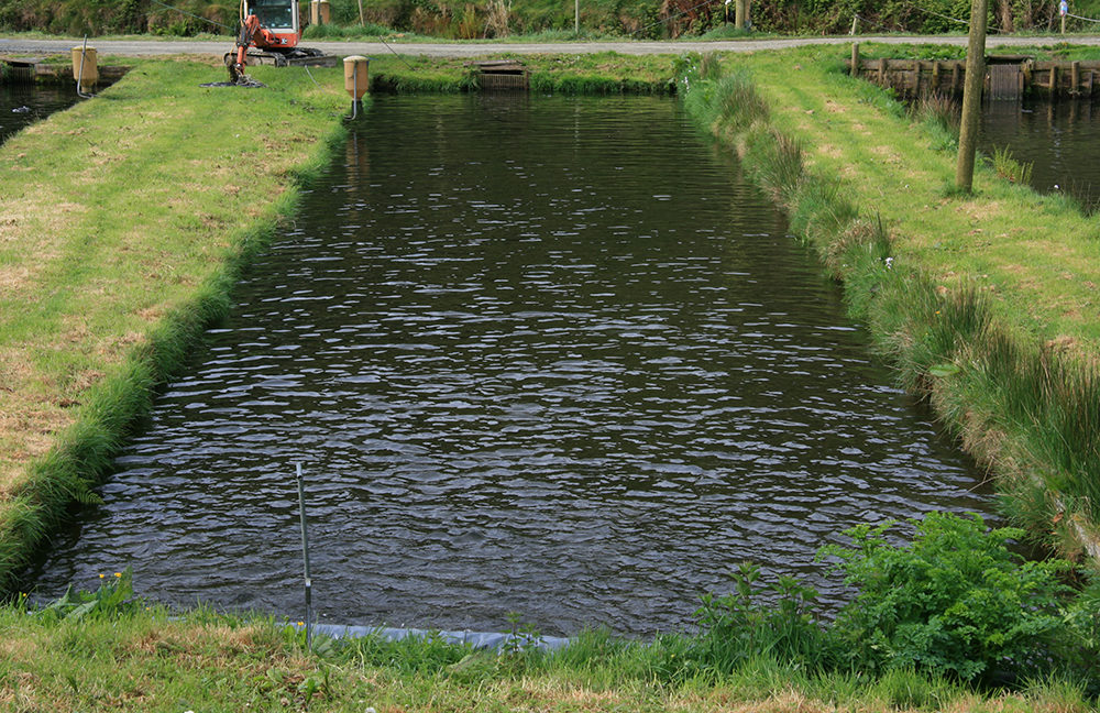 Ireland_2_SH