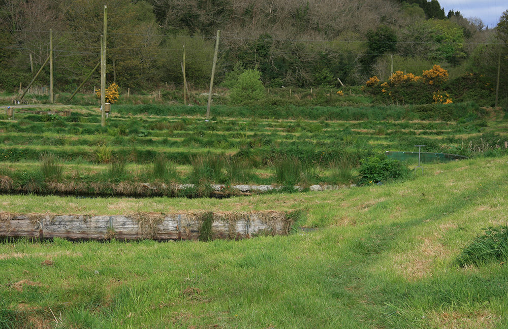 Ireland_3_SH