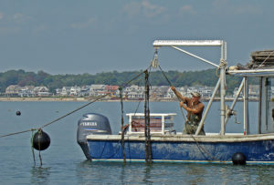 Lease, seed and repeat: GreenWave’s replicable aquaculture