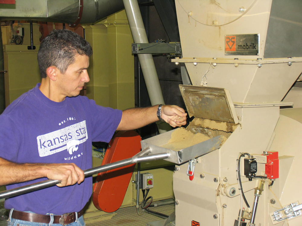 Article image for Best practices for optimum shrimp feeds