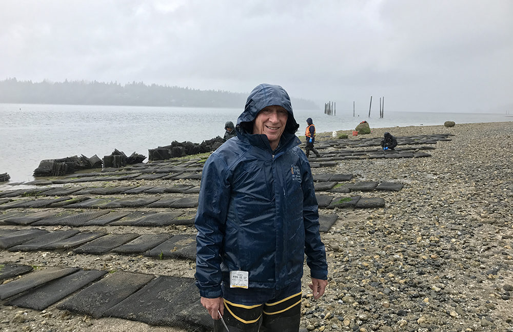 Taylor shellfish Bill Taylor