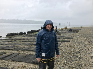 Farm, plant and hatchery: The Taylor Shellfish experience