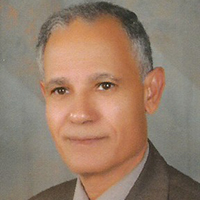 Dr. Abdel-Fattah M. El-Sayed