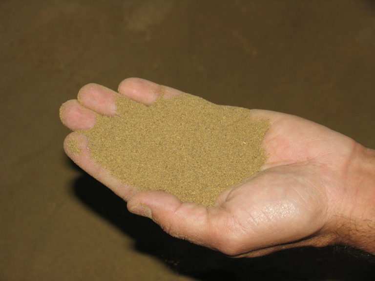 Article image for Performance of aquafeed ingredients in extrusion cooking