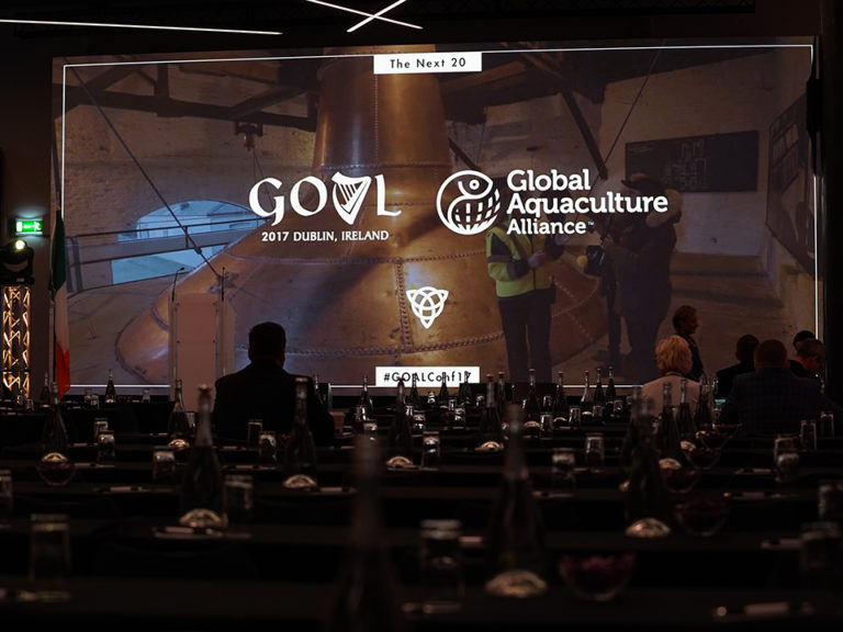 Article image for GOAL 2017: Images from Dublin