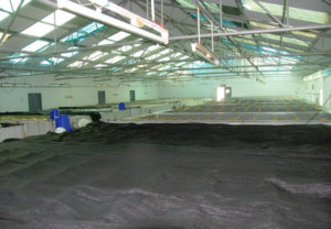 A study of Zoea-2 Syndrome in hatcheries in India, part 3