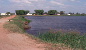 Water composition: Dissolved inorganic solids