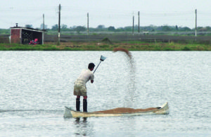 Aquaculture feed composition helps define potential for water pollution