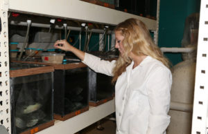 Evaluating excess supplementation in tilapia diets
