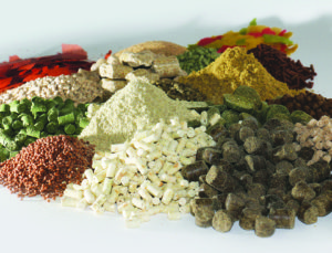 Use caution when predicting profitability with feed cost per unit gain metrics