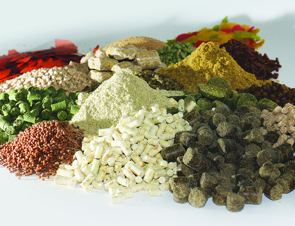 Article image for Use caution when predicting profitability with feed cost per unit gain metrics
