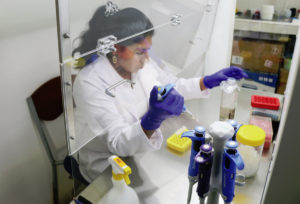Asepsis key to prevent contamination in shrimp hatcheries