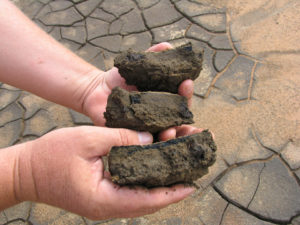 Hydrogen sulfide toxic, but manageable