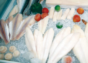 Competition across fish species in E.U.