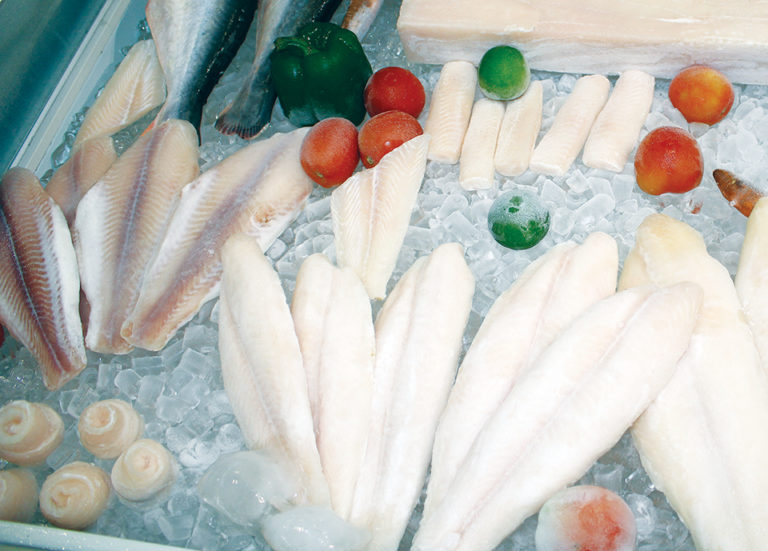 Article image for Competition across fish species in E.U.