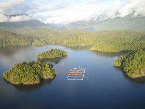 British Columbia salmon farmers wary of liberal government’s aquaculture plans