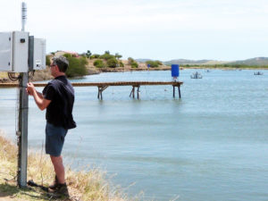 Acoustic control improves feeding productivity at shrimp farms