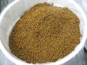 Aquaculture shows substantial growth in global feed production survey