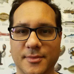 Nicholas Romano, Ph.D.