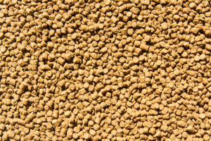 SeaWeb Seafood Summit: Defining the future of aquafeed