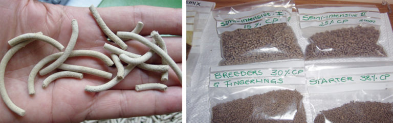 Article image for Local aquafeed development in Namibia
