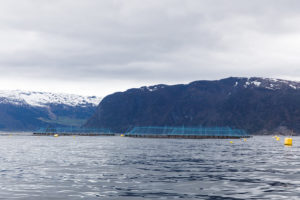 Land-use efficiency study puts aquaculture on a pedestal
