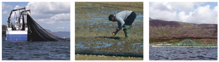 Article image for COEXIST project addresses uses, interactions in Europe’s coastal waters