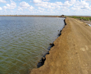 The Shrimp Book: Shrimp pond soil and water quality management