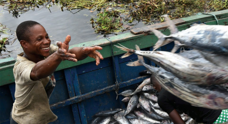 Article image for Aquaculture leads fish production, consumption to new highs