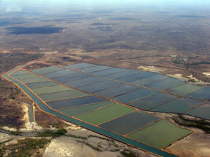 Aquaculture insurance and reinsurance