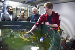 Can IoT tool help fish farmers sleep better at night?