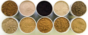 Animal protein meals reduce feed costs but don’t improve shrimp performance