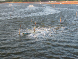Dissolved oxygen dynamics