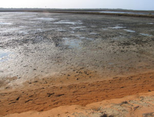 Reactions between pond bottom soil, water