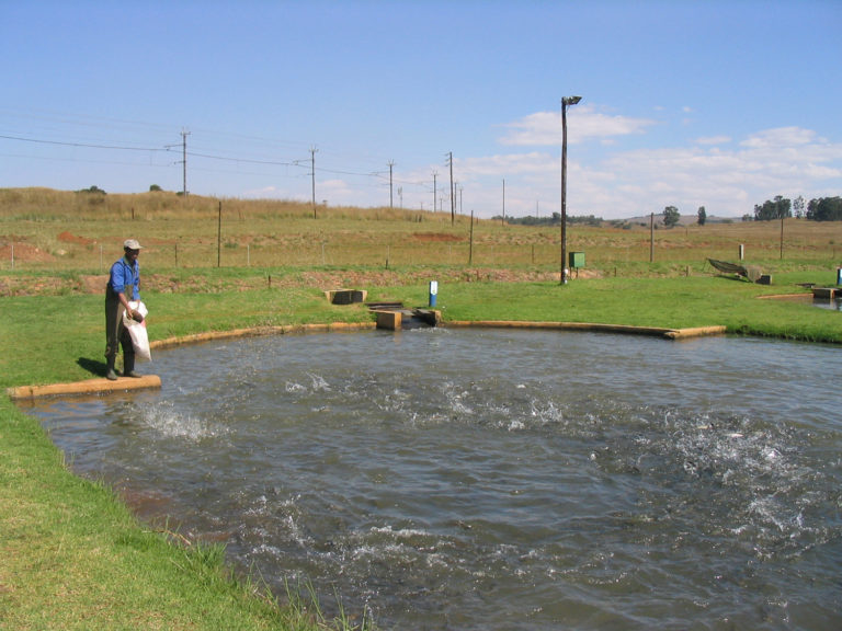 Article image for Reader beware of predatory scientific aquaculture literature