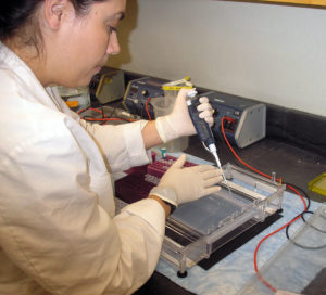 Ring tests compare PCR results from diagnostic laboratories