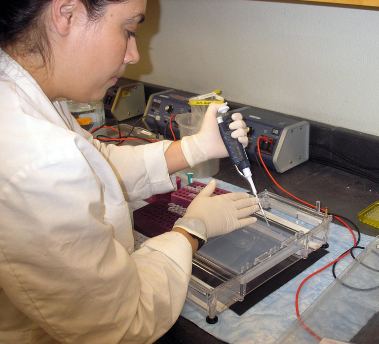 Article image for Ring tests compare PCR results from diagnostic laboratories