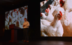 At GOAL, a peek at potential aquaculture futures