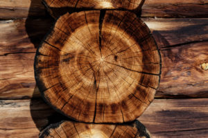 Wood you believe it – a fish feed ingredient from the forest?