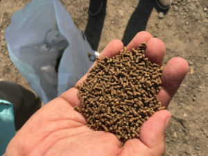 Least-cost formulation software in shrimp aquafeed production
