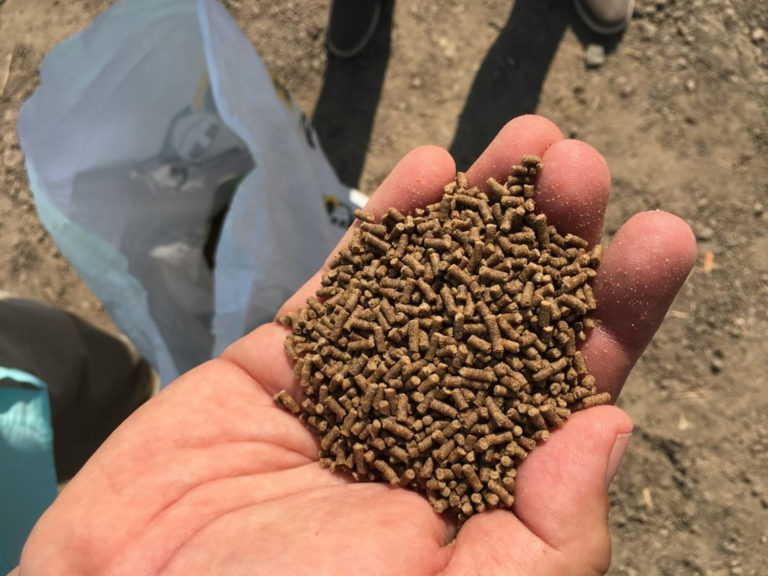 Article image for Least-cost formulation software in shrimp aquafeed production