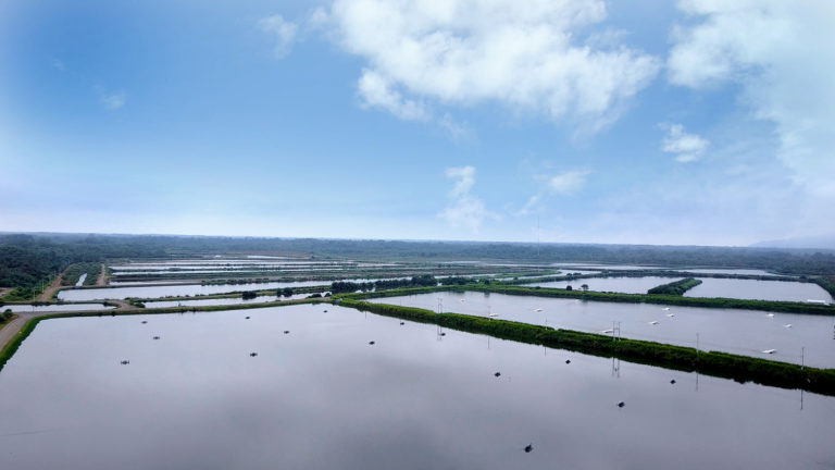 Article image for Energy efficiency in pumping systems on aquaculture farms