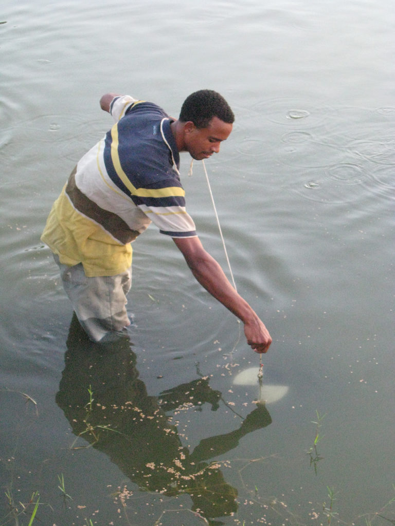 Article image for Thoughts on pond fertilization