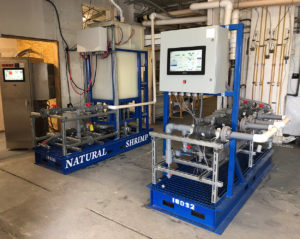 Texas producer giving RAS shrimp production a charge