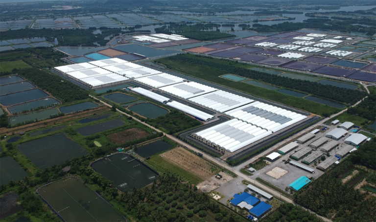 Article image for Live processing differentiates U.S. shrimp brand
