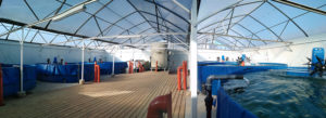 Israeli firm’s ‘plug-and-play’ RAS solution attracts investment
