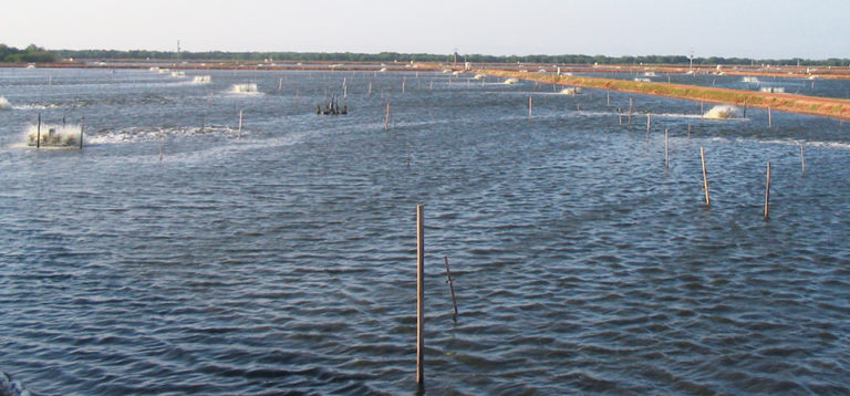 Article image for Total alkalinity and total hardness